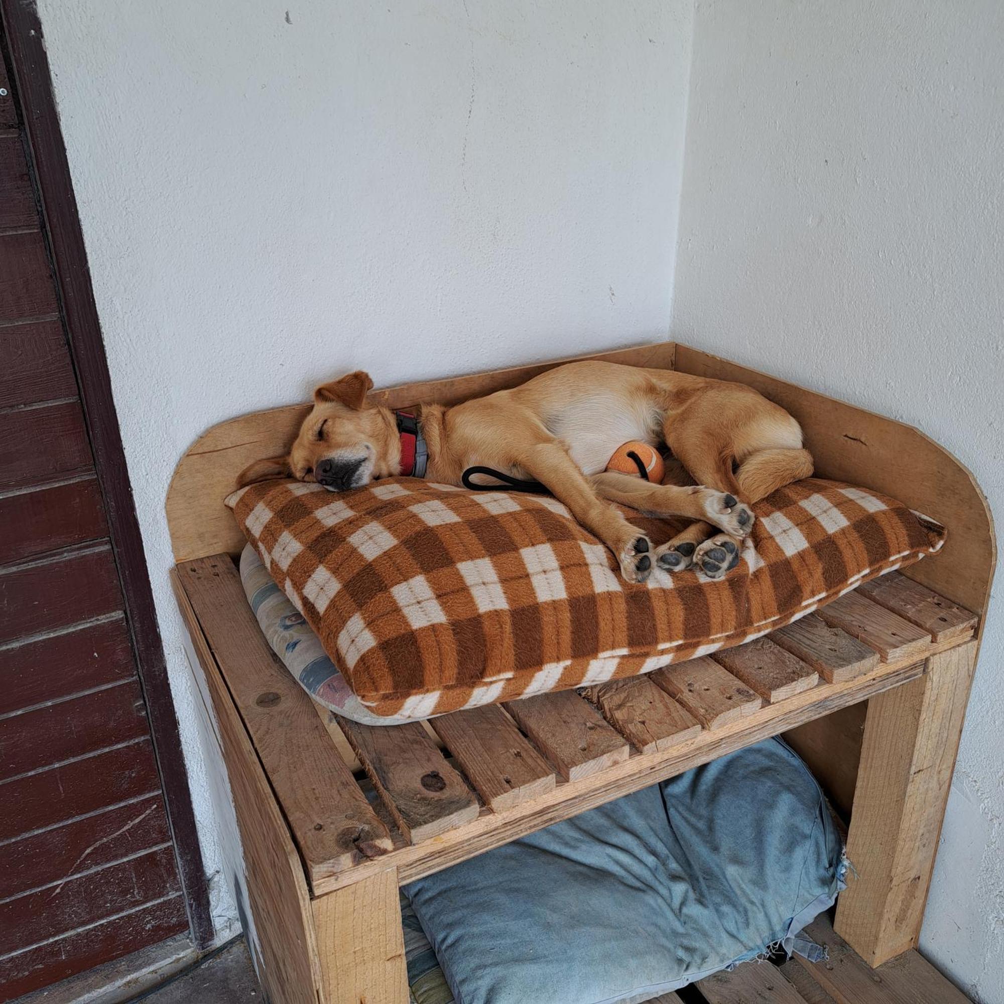 Casa Ciska Séjour chez l'habitant