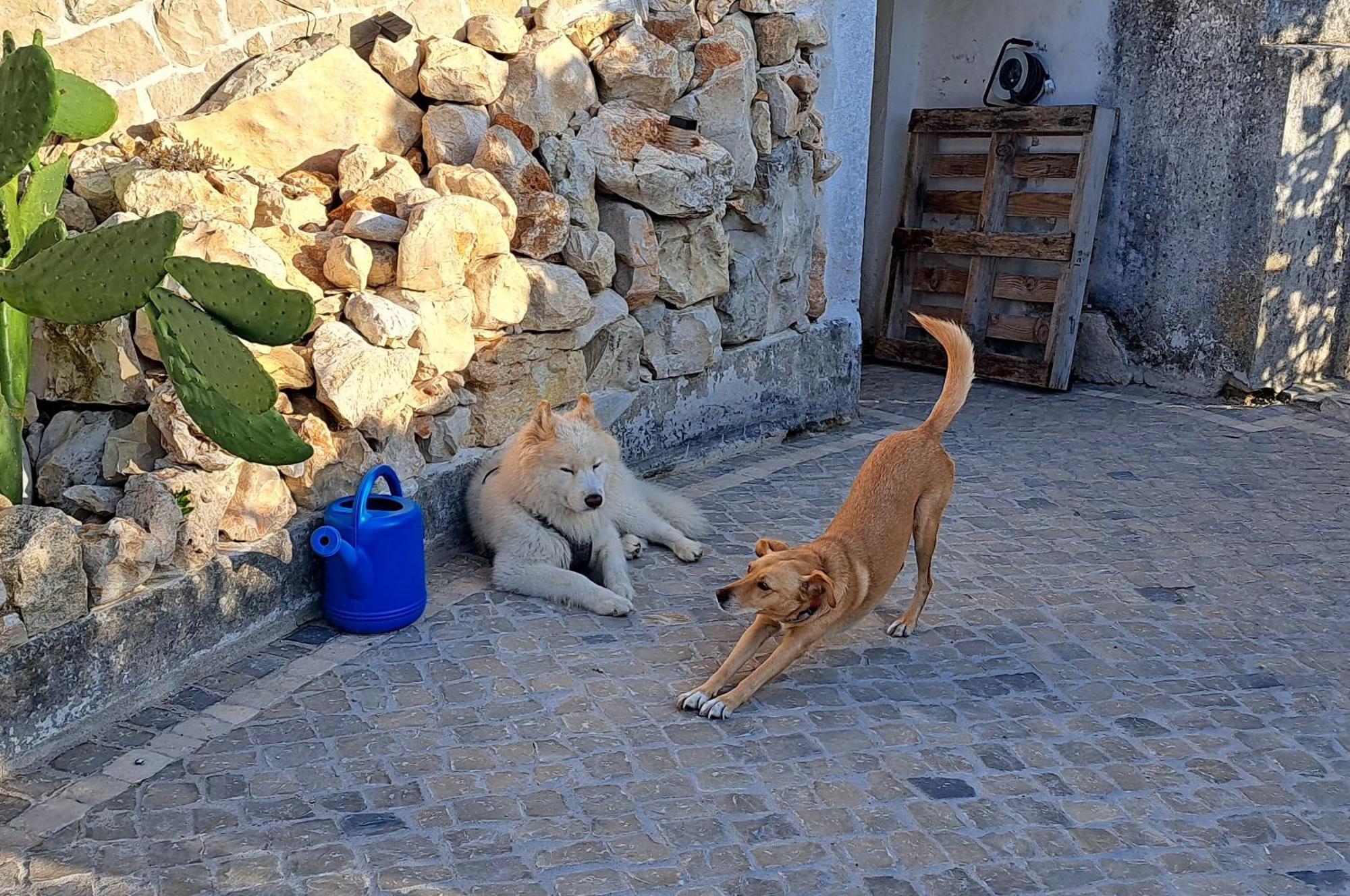 Casa Ciska *